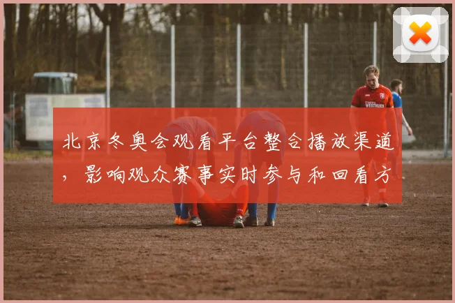 北京冬奥会观看平台整合播放渠道，影响观众赛事实时参与和回看方式