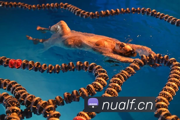 多媒体互动体验