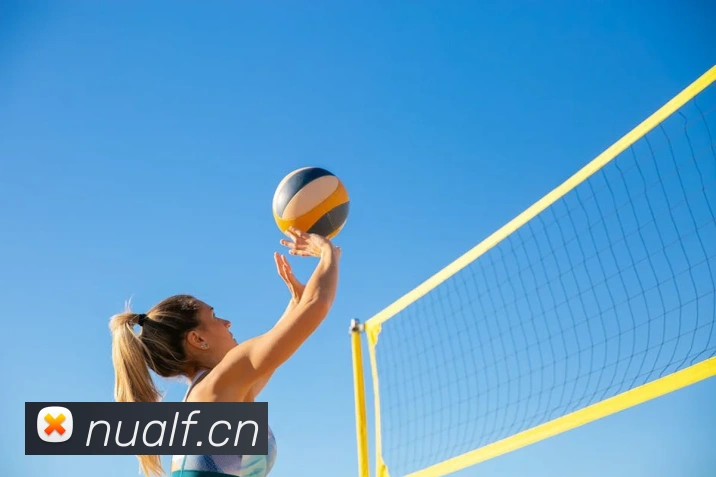 开云手机入口注册APP 高清赛事图